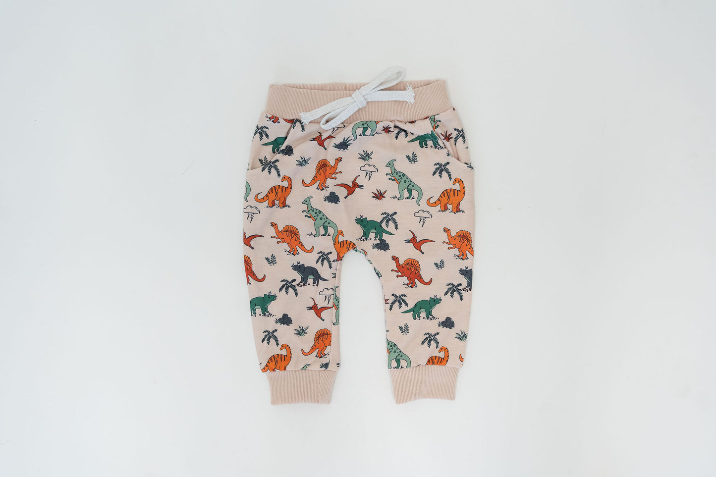 Matching Set Dinosaurs